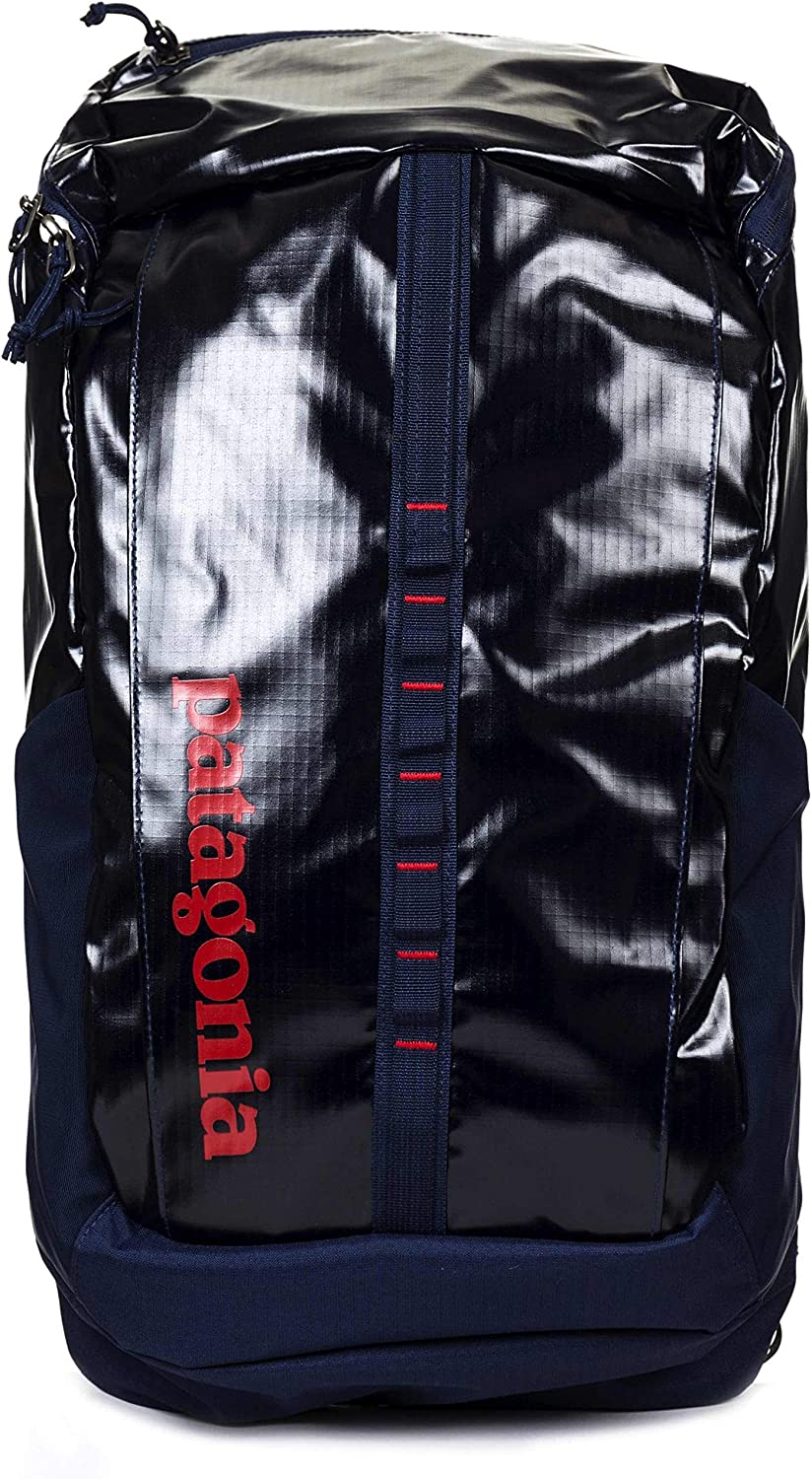 Patagonia Black Hole 25L Backpack